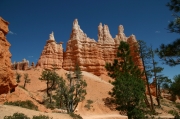 06 - Bryce Canyon NP (17)